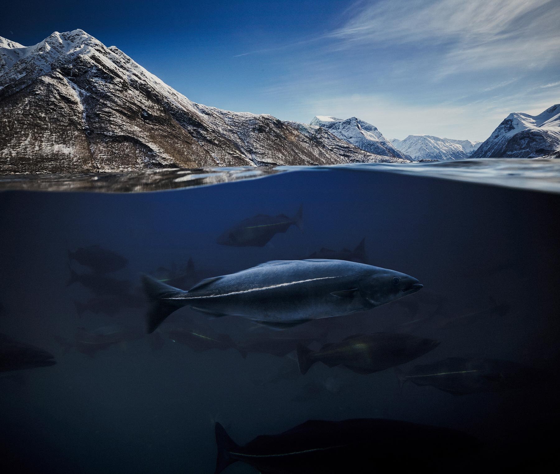 lieu noir sous l'eau